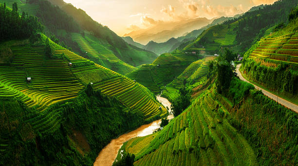 Destination